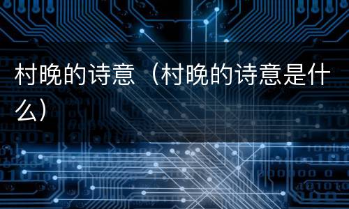 村晚的诗意（村晚的诗意是什么）