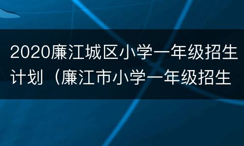 2020廉江城区小学一年级招生计划（廉江市小学一年级招生）