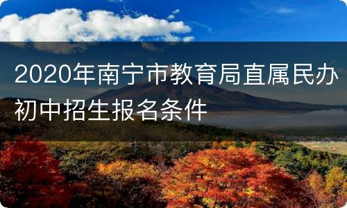 2020年南宁市教育局直属民办初中招生报名条件
