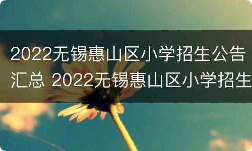 2022无锡惠山区小学招生公告汇总 2022无锡惠山区小学招生公告汇总图