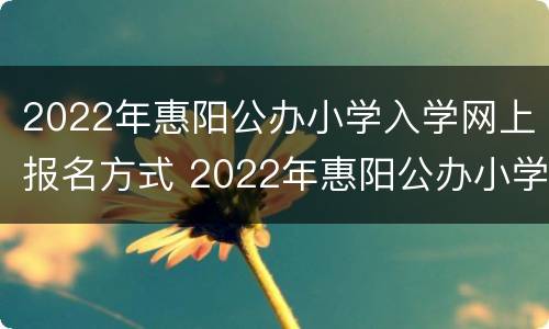 2022年惠阳公办小学入学网上报名方式 2022年惠阳公办小学入学网上报名方式怎么填