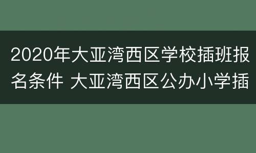 2020年大亚湾西区学校插班报名条件 大亚湾西区公办小学插班