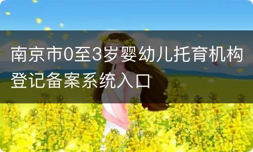 南京市0至3岁婴幼儿托育机构登记备案系统入口