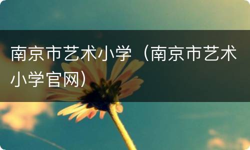 南京市艺术小学（南京市艺术小学官网）