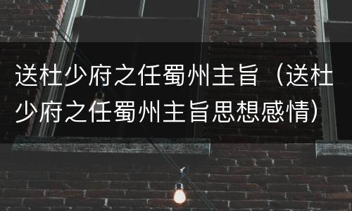 送杜少府之任蜀州主旨（送杜少府之任蜀州主旨思想感情）