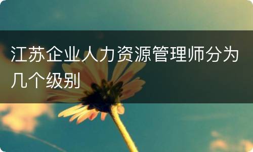 江苏企业人力资源管理师分为几个级别
