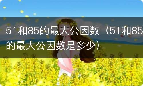 51和85的最大公因数（51和85的最大公因数是多少）
