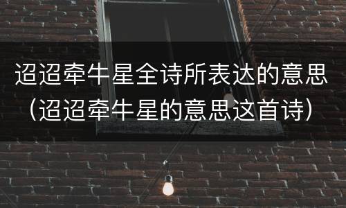 迢迢牵牛星全诗所表达的意思（迢迢牵牛星的意思这首诗）
