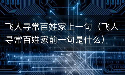 飞人寻常百姓家上一句（飞人寻常百姓家前一句是什么）