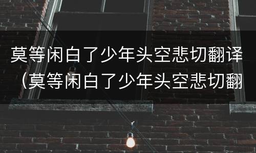 莫等闲白了少年头空悲切翻译（莫等闲白了少年头空悲切翻译成现代汉语）