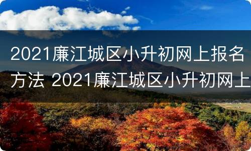 2021廉江城区小升初网上报名方法 2021廉江城区小升初网上报名方法是什么