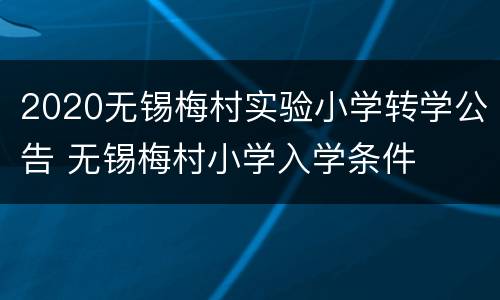 2020无锡梅村实验小学转学公告 无锡梅村小学入学条件