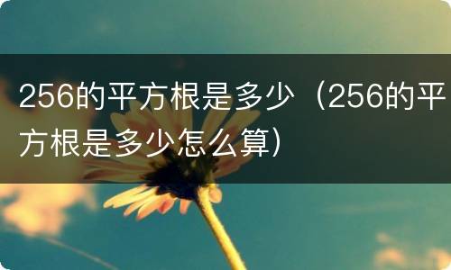 256的平方根是多少（256的平方根是多少怎么算）