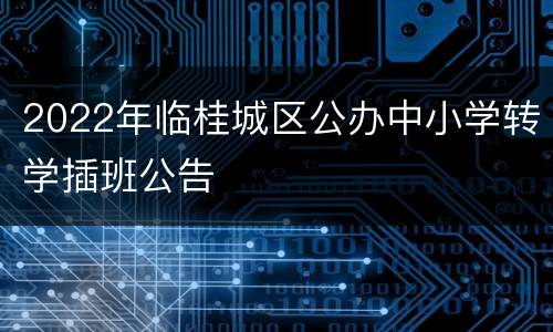 2022年临桂城区公办中小学转学插班公告
