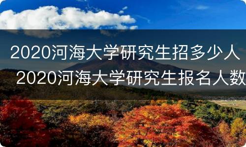 2020河海大学研究生招多少人 2020河海大学研究生报名人数