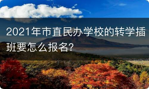 2021年市直民办学校的转学插班要怎么报名？