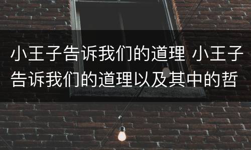小王子告诉我们的道理 小王子告诉我们的道理以及其中的哲理