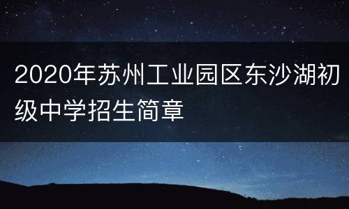 2020年苏州工业园区东沙湖初级中学招生简章