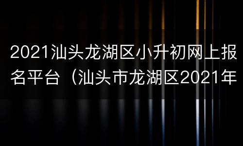 2021汕头龙湖区小升初网上报名平台（汕头市龙湖区2021年小升初摇号时间）