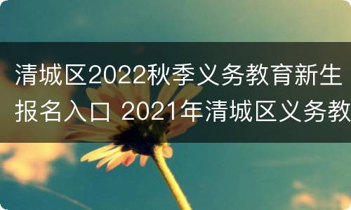清城区2022秋季义务教育新生报名入口 2021年清城区义务教育招生网