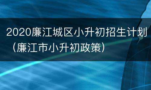 2020廉江城区小升初招生计划（廉江市小升初政策）