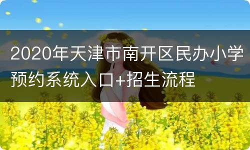 2020年天津市南开区民办小学预约系统入口+招生流程