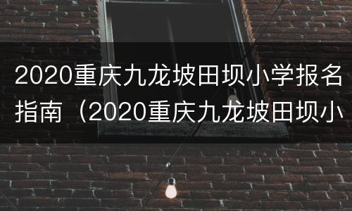 2020重庆九龙坡田坝小学报名指南（2020重庆九龙坡田坝小学报名指南视频）