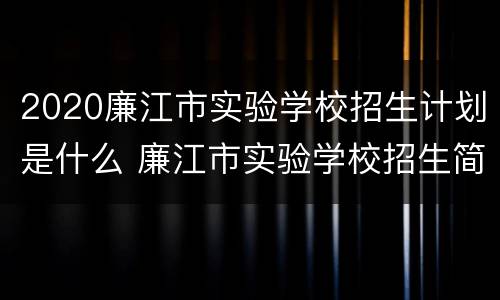 2020廉江市实验学校招生计划是什么 廉江市实验学校招生简章