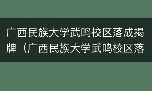 广西民族大学武鸣校区落成揭牌（广西民族大学武鸣校区落成揭牌仪式视频）