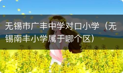 无锡市广丰中学对口小学（无锡南丰小学属于哪个区）
