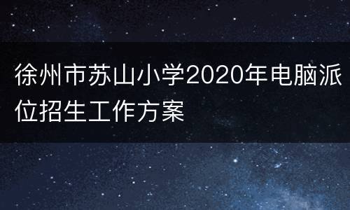 徐州市苏山小学2020年电脑派位招生工作方案