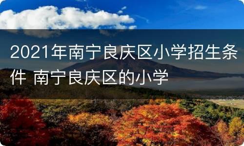 2021年南宁良庆区小学招生条件 南宁良庆区的小学