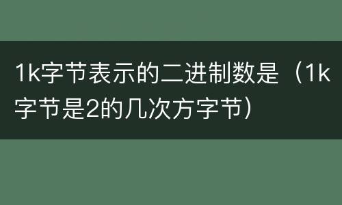 1k字节表示的二进制数是（1k字节是2的几次方字节）