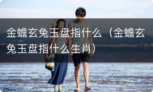 金蟾玄兔玉盘指什么（金蟾玄兔玉盘指什么生肖）