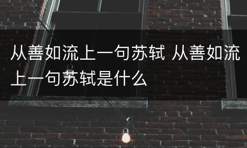 从善如流上一句苏轼 从善如流上一句苏轼是什么