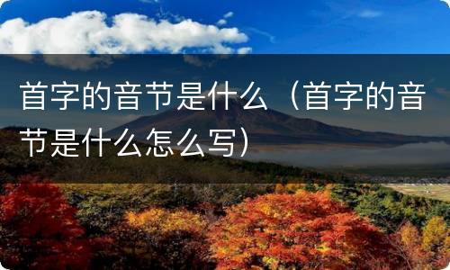 首字的音节是什么（首字的音节是什么怎么写）