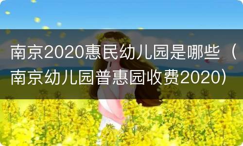 南京2020惠民幼儿园是哪些（南京幼儿园普惠园收费2020）
