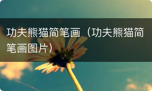 功夫熊猫简笔画（功夫熊猫简笔画图片）