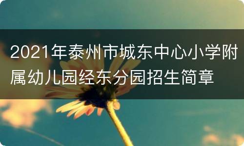 2021年泰州市城东中心小学附属幼儿园经东分园招生简章
