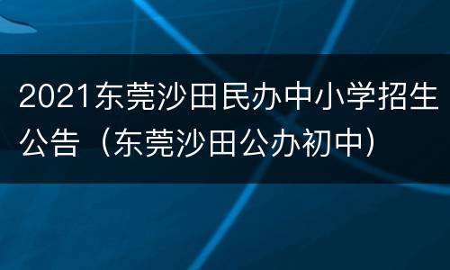 2021东莞沙田民办中小学招生公告（东莞沙田公办初中）