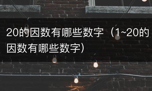20的因数有哪些数字（1~20的因数有哪些数字）