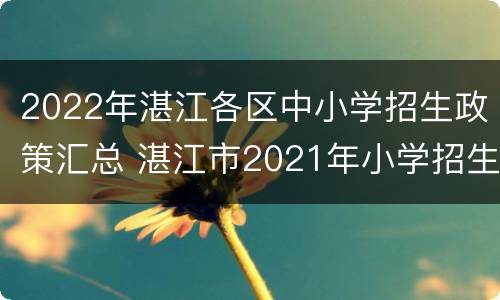 2022年湛江各区中小学招生政策汇总 湛江市2021年小学招生