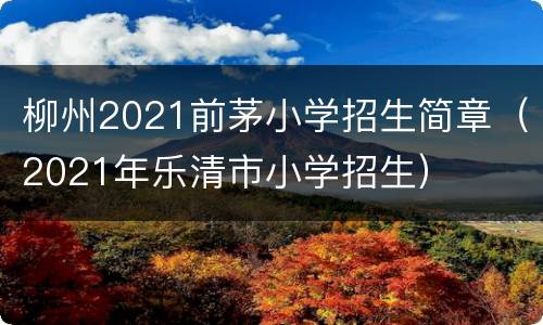 柳州2021前茅小学招生简章（2021年乐清市小学招生）