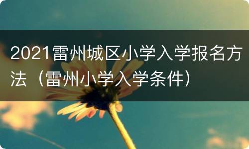 2021雷州城区小学入学报名方法（雷州小学入学条件）