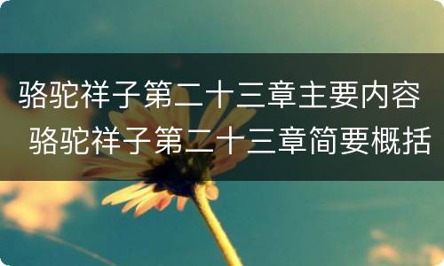 骆驼祥子第二十三章主要内容 骆驼祥子第二十三章简要概括