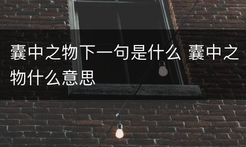 囊中之物下一句是什么 囊中之物什么意思