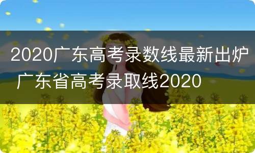 2020广东高考录数线最新出炉 广东省高考录取线2020