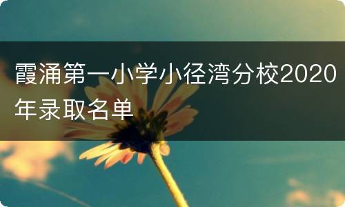 霞涌第一小学小径湾分校2020年录取名单
