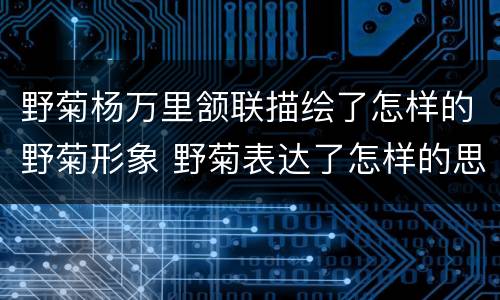 野菊杨万里颔联描绘了怎样的野菊形象 野菊表达了怎样的思想感情