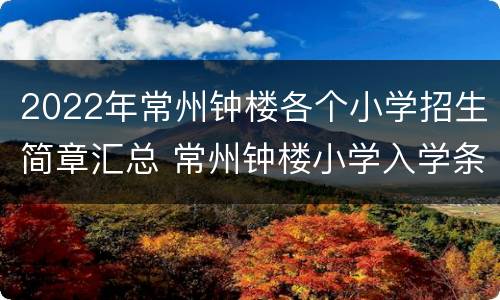 2022年常州钟楼各个小学招生简章汇总 常州钟楼小学入学条件